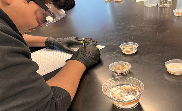 liberal-arts-hands-on